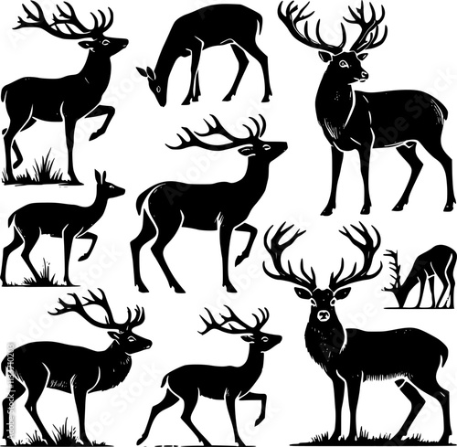 Deer vector illustration. Graphic black silhouettes of wild deer