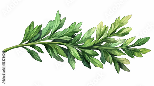 Wallpaper Mural Vibrant Green Sprig, Lush Foliage, Detailed Leaves, Natural Beauty, Botanical Illustration, Fresh Greenery, Vivid Colors, Spring Growth, Herbal Plant,  Detailed Watercolor Style,  Organic Texture Torontodigital.ca