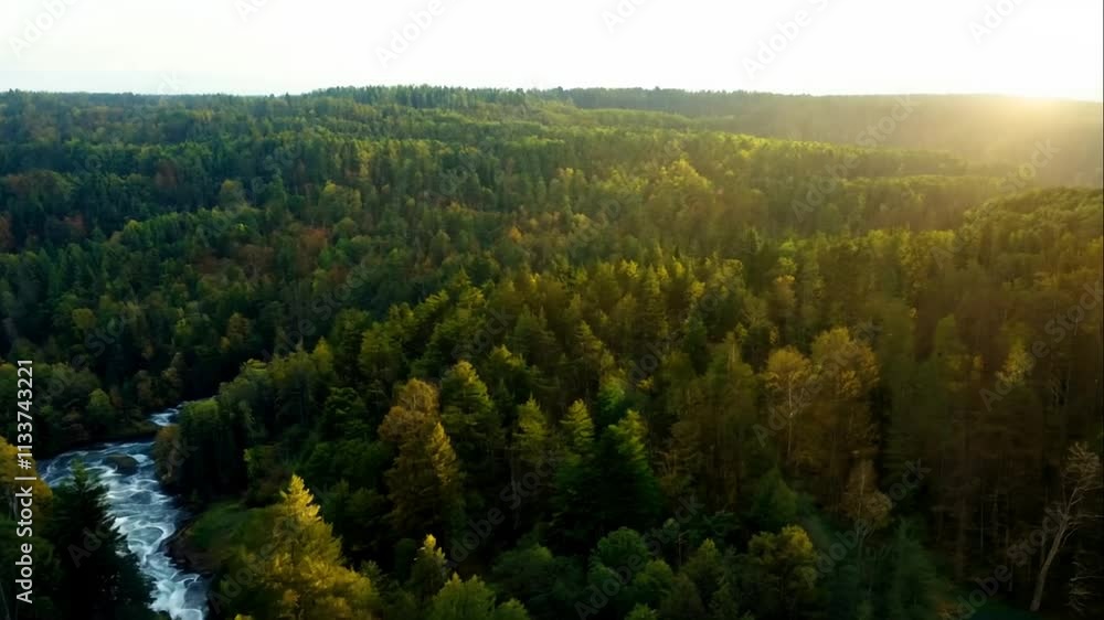 Aerial View of Lush Green Forests with Serene River Flowing Through, Bathed in Soft Golden Light of Early Morning Sunlight Highlighting Nature's Beauty Aerial View of Lush Green Forests with Serene River Flowing Through, Bathed in Soft Golden Light of Early Morning Sunlight Highlighting Nature's Beauty