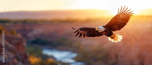Majestic bald eagle soaring above a canyon at sunrise.