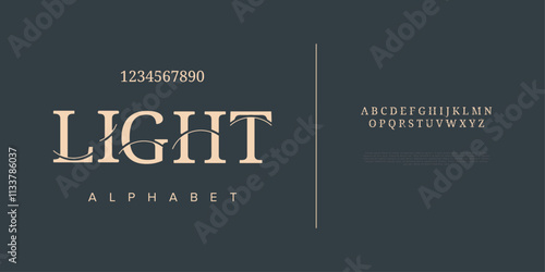 Light typography beauty fashion elegant minimalist serif italic fonts decorative wedding vintage retro logos. Minimal luxury font alphabet logo. Vector illustration