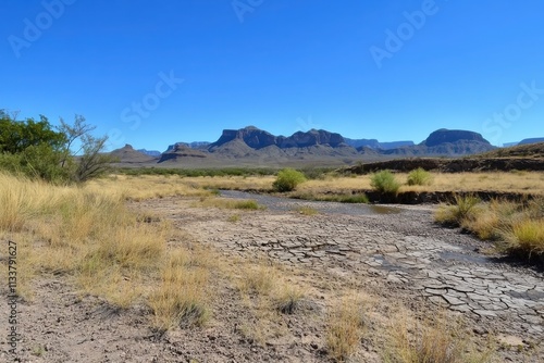 Dry Riverbed in a Vast Desert Landscape with Distant Mountains under a Clear Blue Sky, Highlighting Arid Terrain and Unique Vegetation Patterns