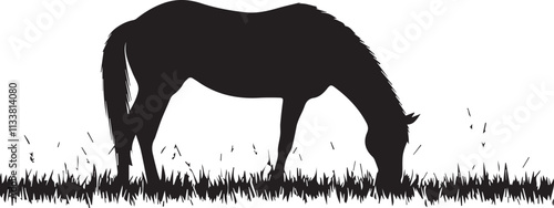 Silhouette of horse grazing on graphic vector