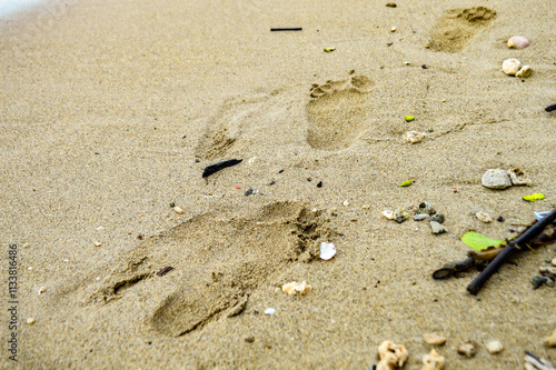 Man walks on the beach and leaves footprints on the beach sand. Focus on footprint, Noisy, exposure, similar others