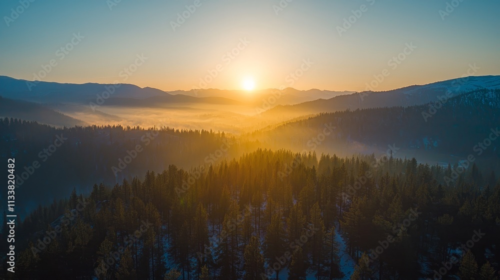 Fototapeta premium Majestic forest landscape shot from high altitude under the golden glow of the sun, capturing the vibrant colors of trees and the expansive natural scenery. Perfect for nature and outdoor enthusiasts.