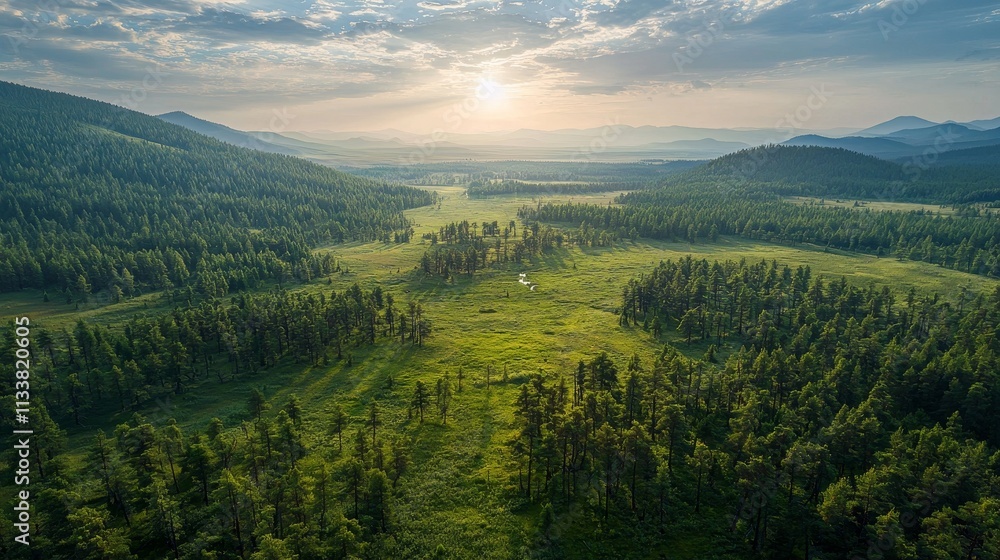 Obraz premium Majestic forest landscape shot from high altitude under the golden glow of the sun, capturing the vibrant colors of trees and the expansive natural scenery. Perfect for nature and outdoor enthusiasts.