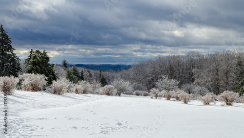 Winter landscape in New Hampshire showcasing snow-covered terrain and frosted trees