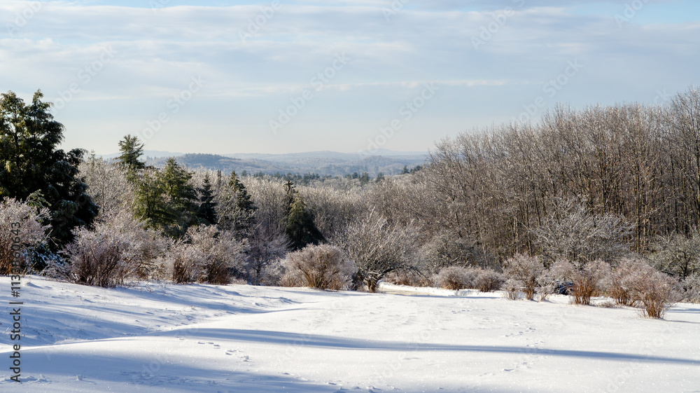 Winter wonderland in New Hampshire with snow-covered landscape and frosty trees Winter wonderland in New Hampshire with snow-covered landscape and frosty trees