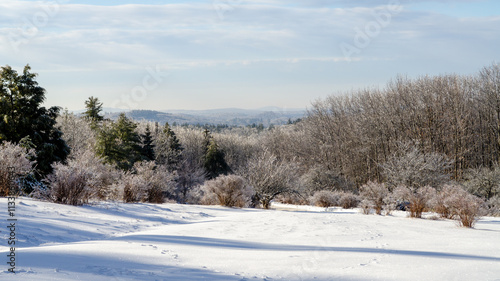 Wallpaper Mural Winter wonderland in New Hampshire with snow-covered landscape and frosty trees Torontodigital.ca