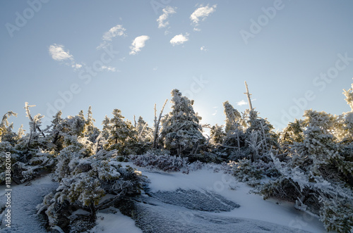 Winter frost highlights the unique landscape atop Mount Monadnock in New Hampshire under a clear blue sky