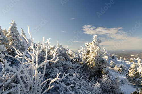 Winter view from the mount summit with snow-covered trees under clear blue sky