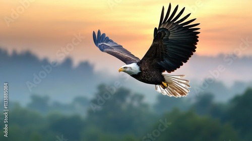 Majestic bald eagle soaring over lush mountains at sunrise nature photography tranquil wilderness scenic viewpoint