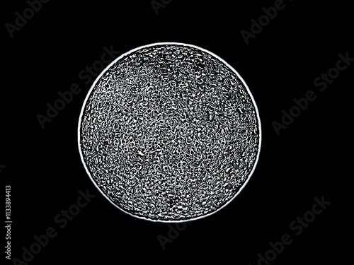 The black background in the image is a circle with white and black colors with white and black dots. The illustration looks like a moon with two colors, black and white, used as an illustration. photo