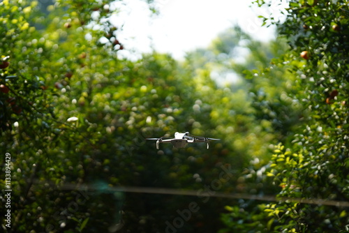 DJI 4 mini pro drone