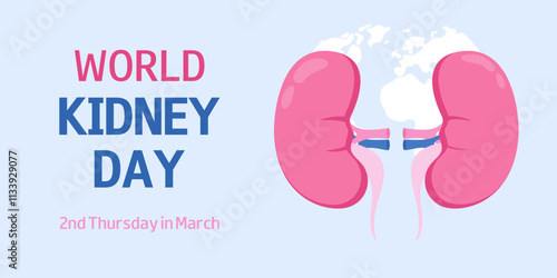 World Kidney Day. 2nd Thursday of March. Conceptual medical vector illustration for poster, banner, campaign.