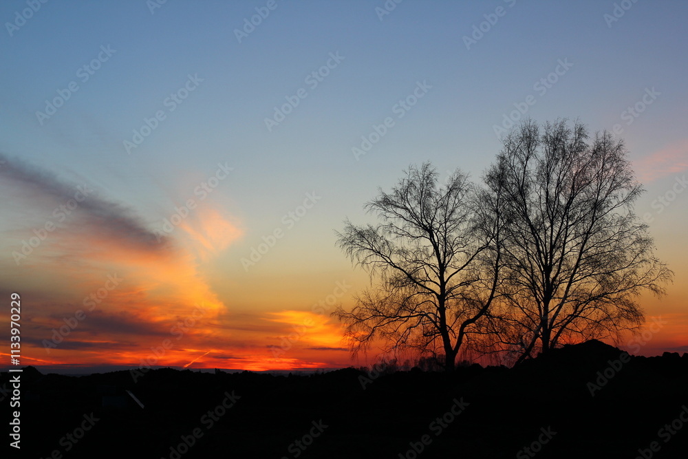 Beautiful magical landscape image with trees silhouette at sunset.
Beautiful magical landscape image with trees silhouette at sunset.