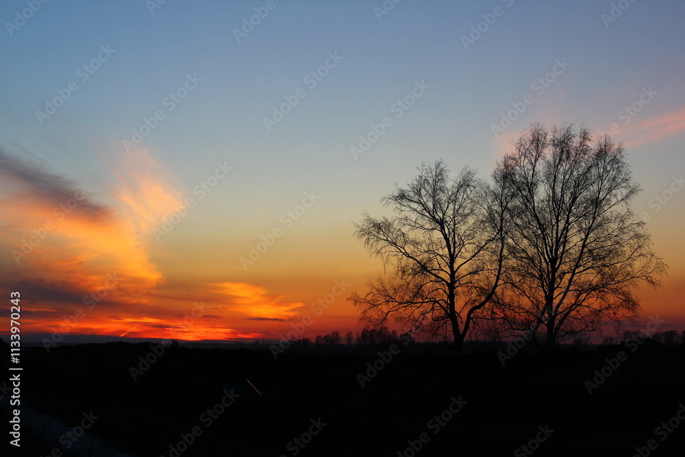 Beautiful magical landscape image with trees silhouette at sunset.
Beautiful magical landscape image with trees silhouette at sunset.