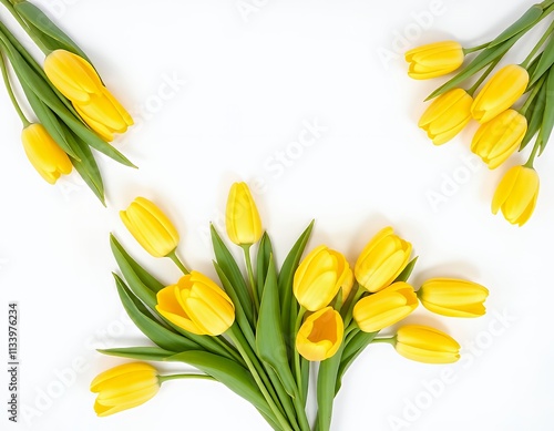 yellow tulips arranged in a heart shape on a white surface. photo