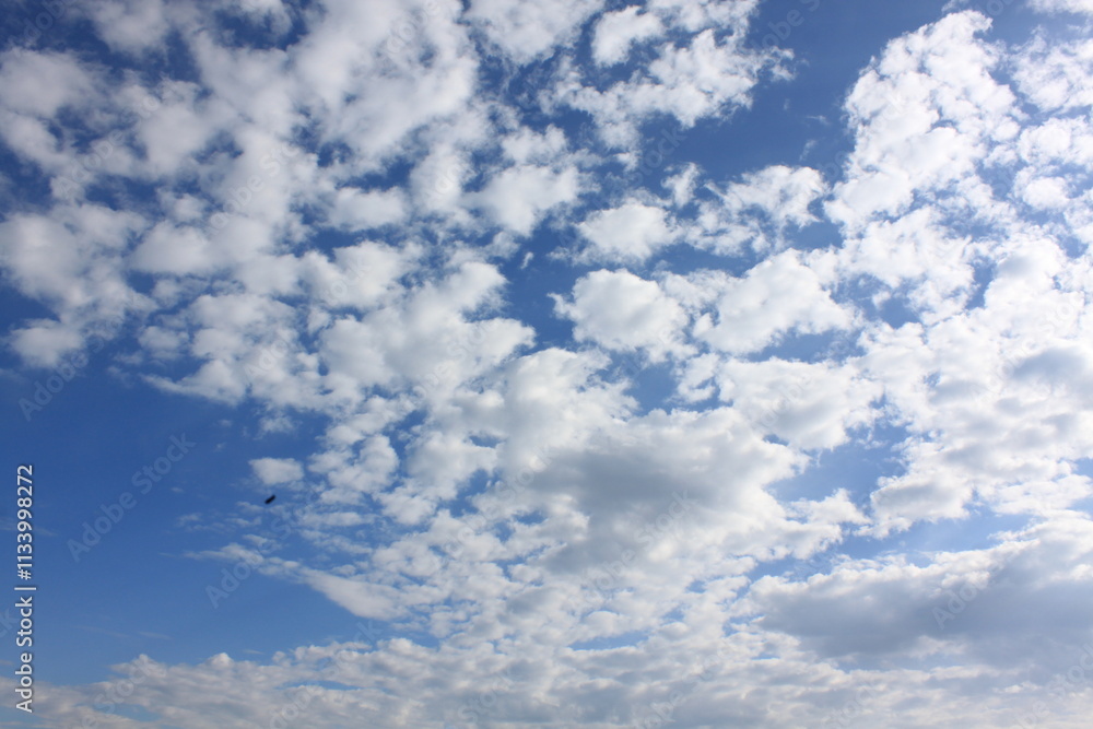 sky(하늘) sky(하늘)