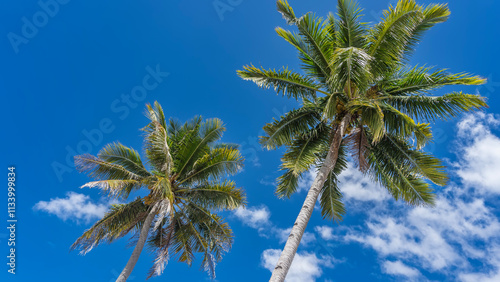 Wallpaper Mural Two tall coconut palms. Trunks and spreading green leaves of the crowns against a background of blue sky and clouds. Philippines Torontodigital.ca