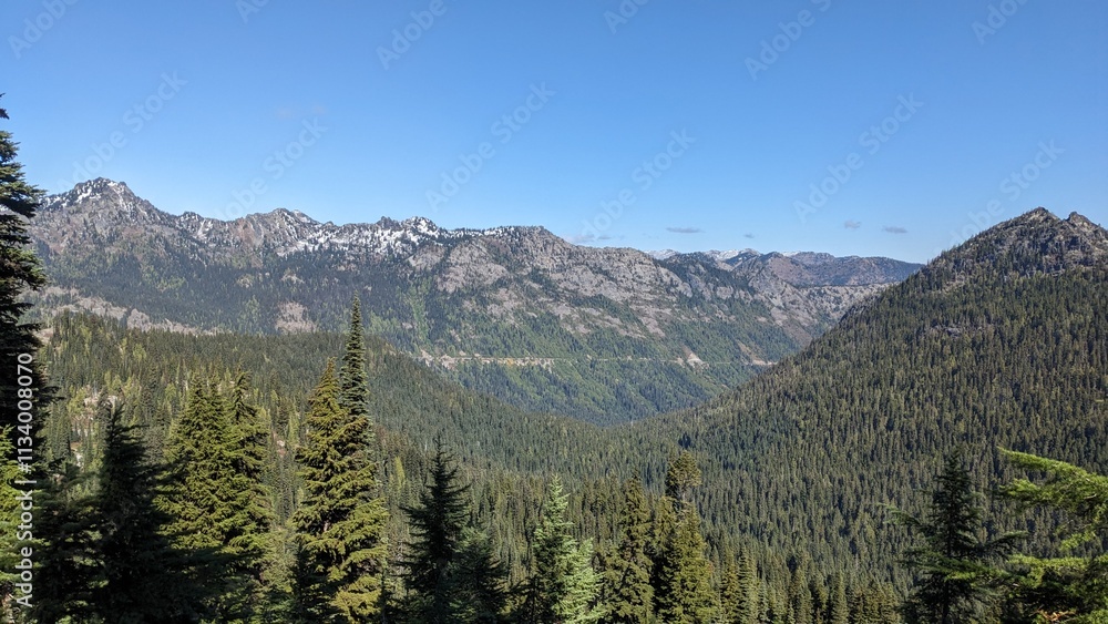 Fototapeta premium Mount raineer trail