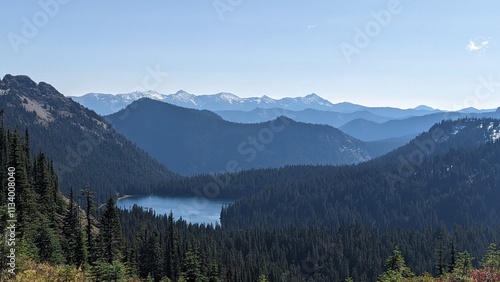 Mount raineer trail