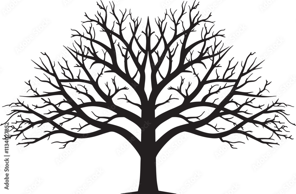 Obraz premium Tree without leaves vector silhouette illustration