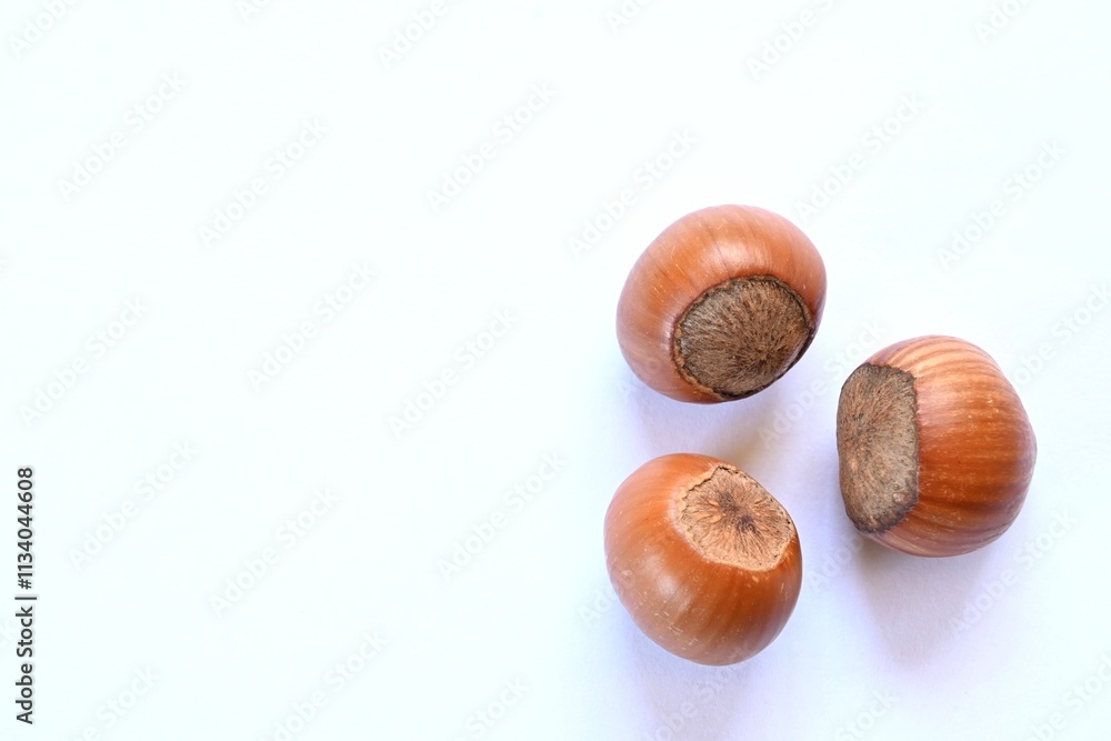 Three hazelnuts on clear background. Three hazelnuts on clear background.