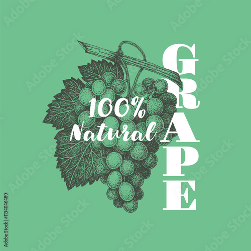 Vintage grape illustration