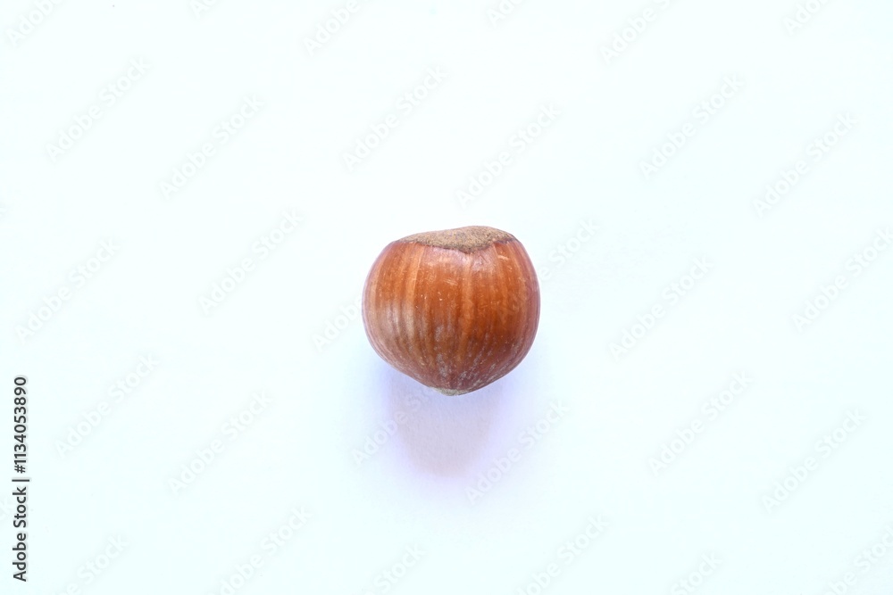 Isolated hazelnut, clear background and copy space. Isolated hazelnut, clear background and copy space.