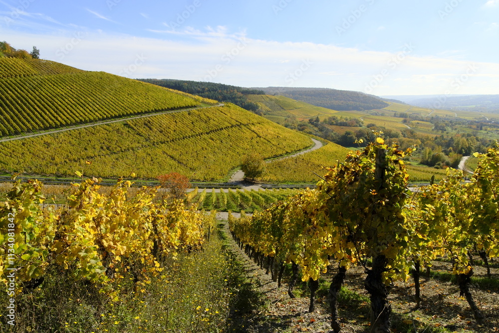 Weinberge bei Thüngersheim, Landkreis Main-Spessart, Unterfranken, Bayern, Deutschland Weinberge bei Thüngersheim, Landkreis Main-Spessart, Unterfranken, Bayern, Deutschland
