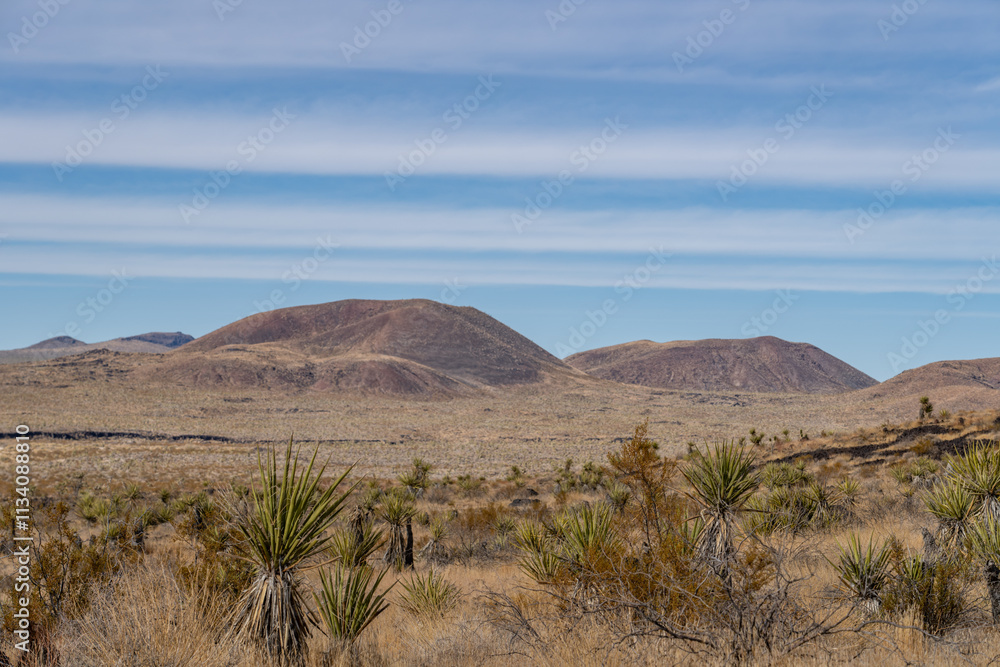 Fototapeta premium Cima volcanic field. Kelbaker Road, Mojave National Preserve. San Bernardino County, California. Mojave Desert / Basin and Range Province. Yucca schidigera, Mojave yucca or Spanish dagger