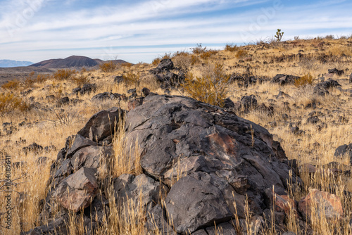 A volcanic bomb or lava bomb. Cima volcanic field. Kelbaker Road, Mojave National Preserve. San Bernardino County, California. Mojave Desert / Basin and Range Province. photo