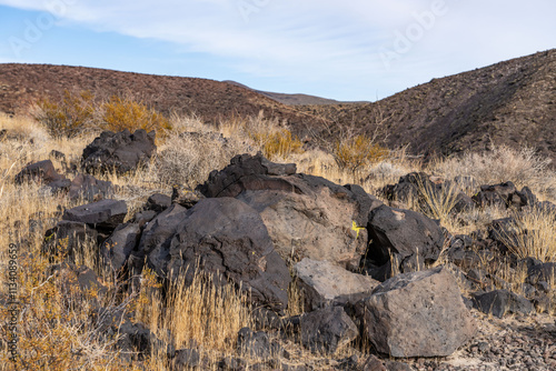 A volcanic bomb or lava bomb. Cima volcanic field. Kelbaker Road, Mojave National Preserve. San Bernardino County, California. Mojave Desert / Basin and Range Province. photo