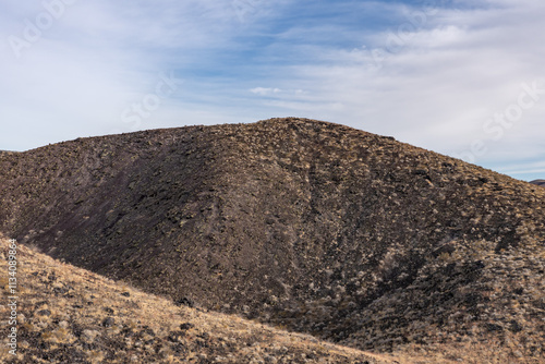  Cima volcanic field. Kelbaker Road, Mojave National Preserve. San Bernardino County, California. Mojave Desert / Basin and Range Province. Yucca schidigera, Mojave yucca or Spanish dagger photo