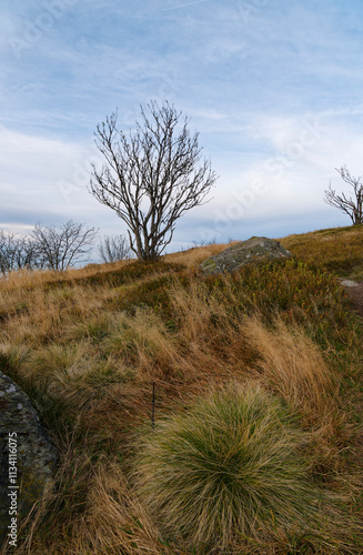 Rhönlandschaft zwischen Pferdskopf und Wasserkuppe, Gemeinde Poppenhausen, Biosphärenreservat Rhön, Hessen, Deutschland photo