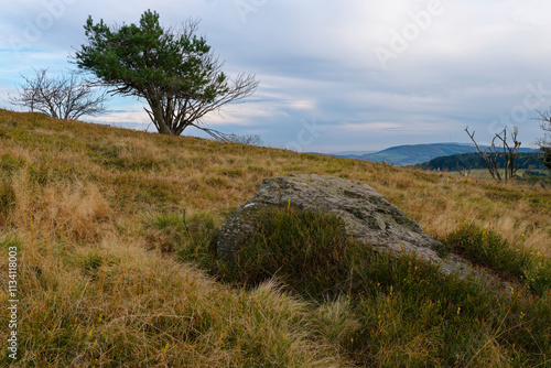 Rhönlandschaft zwischen Pferdskopf und Wasserkuppe, Gemeinde Poppenhausen, Biosphärenreservat Rhön, Hessen, Deutschland