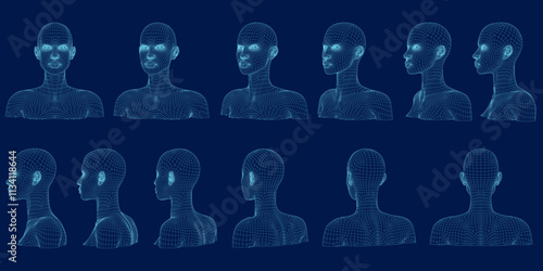 Wireframe Isolated vector set of mannequin busts and heads. 3D. Vector illustration