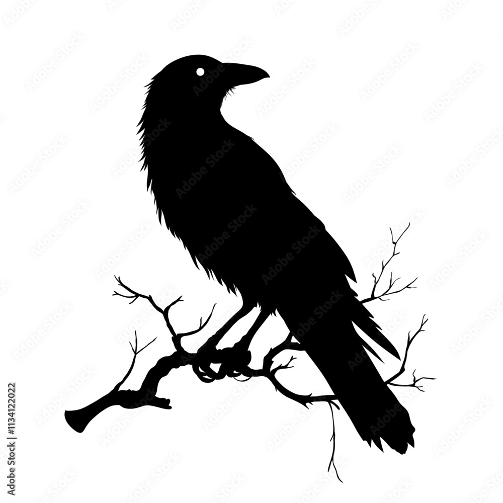 Fototapeta premium crow on a branch