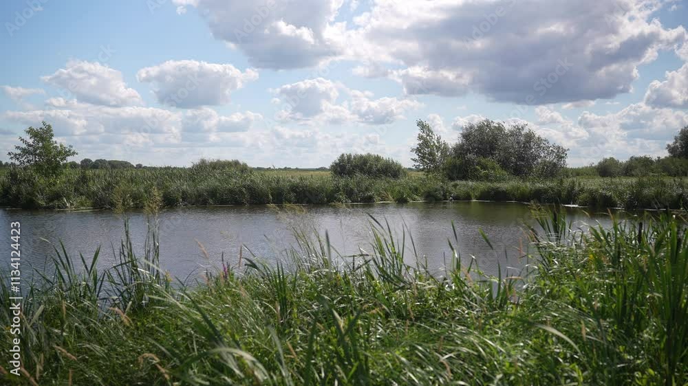 A peaceful and tranquil river landscape can be observed under a clear blue sky A peaceful and tranquil river landscape can be observed under a clear blue sky