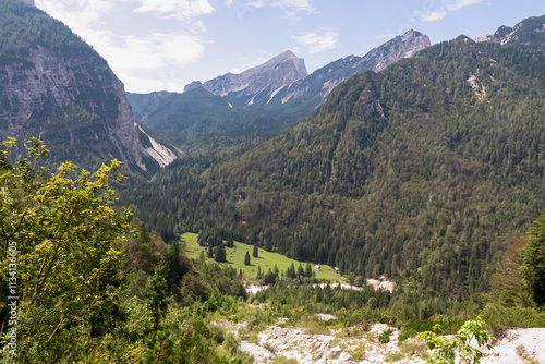 Wallpaper Mural Scenic view kacji graben valley covered with coniferious forest and surrounded by rugged mountain peaks of Julian Alps. Triglav national park, Vrsic pass, Slovenia. Wanderlust wild Slovenian Alps Torontodigital.ca