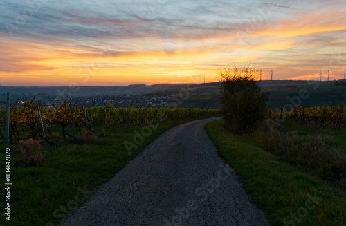 Landschaft und Weinberge bei Stammheim am Main im Abendlicht, Landkreis Schweinfurt, Unterfranken, Franken, Bayern, Deutschland