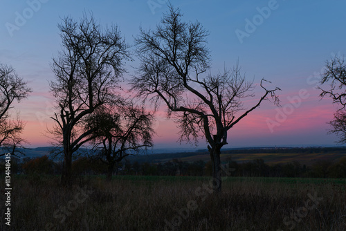 Wallpaper Mural Landschaft und Weinberge bei Stammheim am Main im Abendlicht, Landkreis Schweinfurt, Unterfranken, Franken,  Bayern, Deutschland Torontodigital.ca