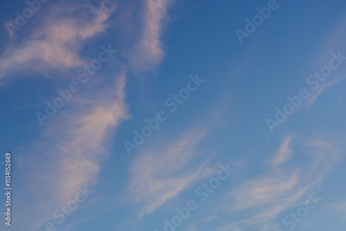 Light Pink Cotton Balls in the Sky - Small thin clusters of soft white clouds catch the setting sun’s light, transforming into delicate pink puffs floating on a clear blue sky as dusk approaches. photo