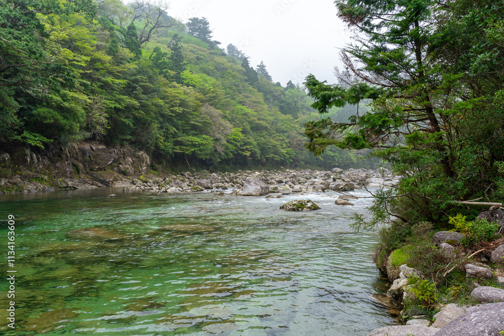 屋久島のトレッキングコース沿いにある川