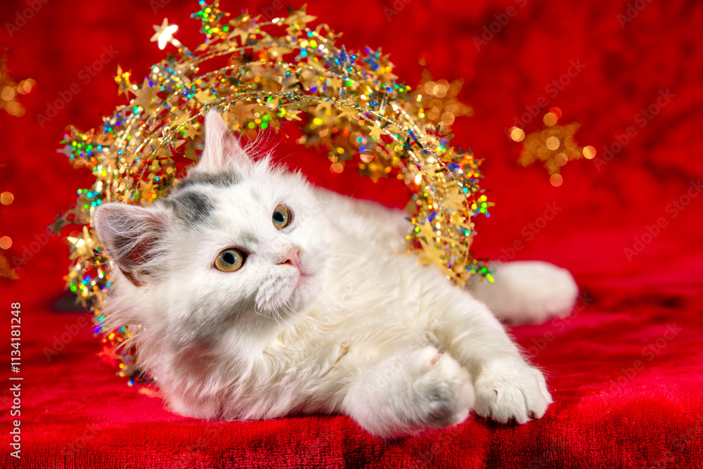 Funny little kitten wrapped in Christmas glitter garland sits on a soft red blanket