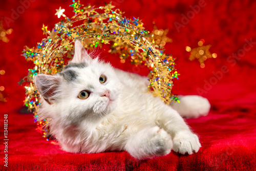 Obraz na płótnie Funny little kitten wrapped in Christmas glitter garland sits on a soft red blanket w salonie