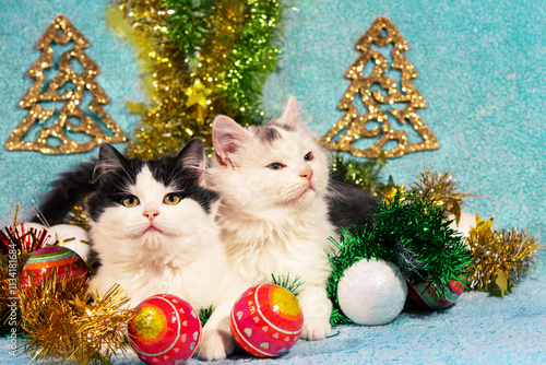 Obraz na płótnie Funny little kittens sitting on blue blanket with Christmas decorations w salonie