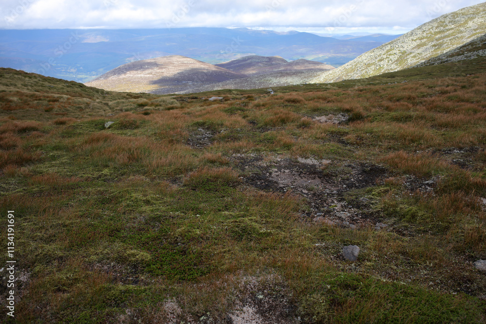 Path at Cac carn mor leading to the Stuic and Carn a' choire Bhoidheach - Loch Muick to Lochnagar path - Aberdeenshire - Scotland - UK Path at Cac carn mor leading to the Stuic and Carn a' choire Bhoidheach - Loch Muick to Lochnagar path - Aberdeenshire - Scotland - UK