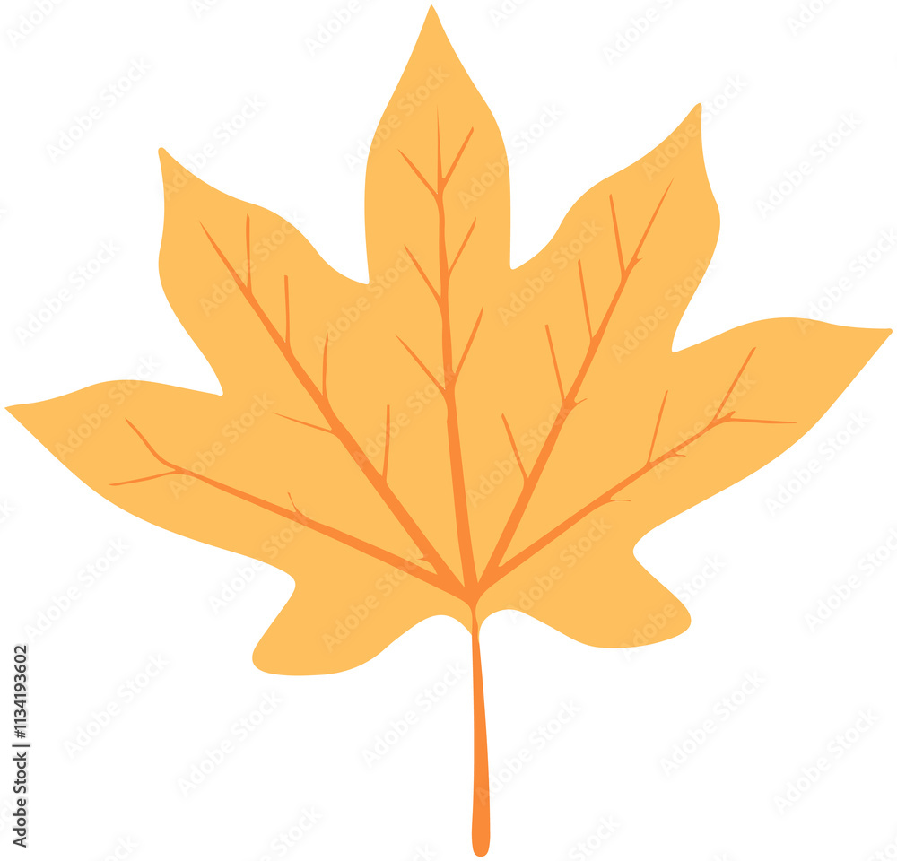 Obraz premium Maple Leaf illustration 